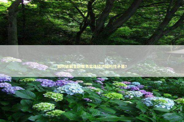 如何破解金融服务实体经济结构性矛盾？ 新闻