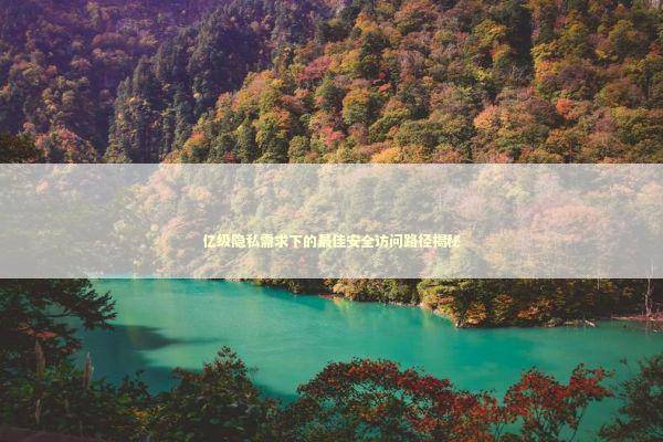 亿级隐私需求下的最佳安全访问路径揭秘 新闻