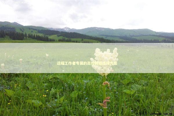 远程工作者专属的高效网络连接方案 新闻