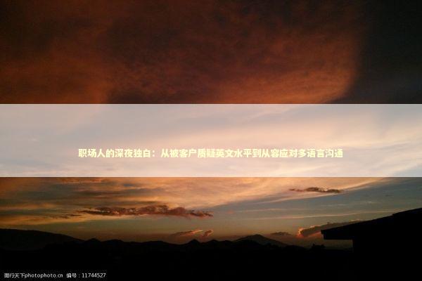 职场人的深夜独白：从被客户质疑英文水平到从容应对多语言沟通 企业服务