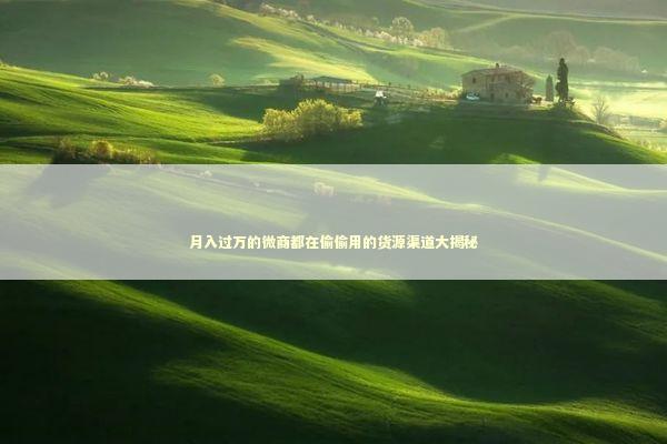 月入过万的微商都在偷偷用的货源渠道大揭秘 企业服务