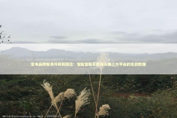 家电品牌服务升级新路径：智能客服系统接入第三方平台的实战数据 家电市场