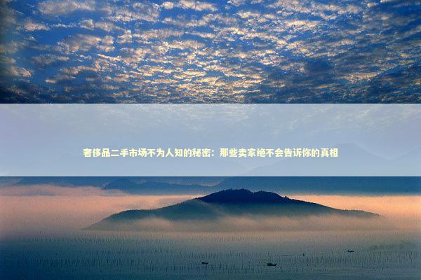 奢侈品二手市场不为人知的秘密:那些卖家绝不会告诉你的真相 奢侈品二手市场不为人知的秘密:那些卖家绝不会告诉你的真相 企业服务